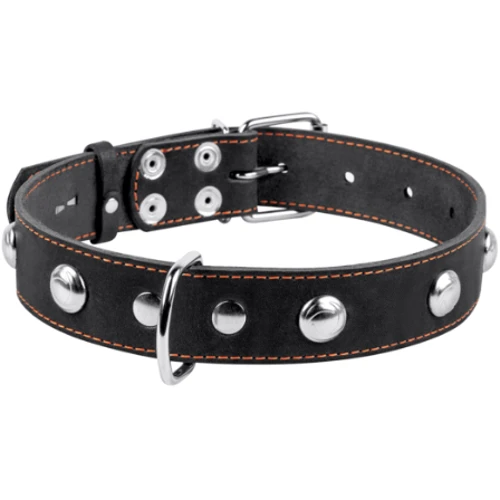 Ошейник Collar одинарный с украшением ш 35 мм, д 48-63 см черный (02711): Производитель Collar