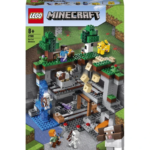 LEGO Minecraft Первое приключение (21169)