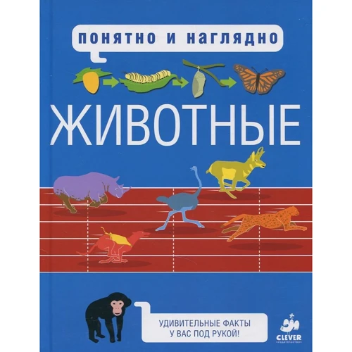 Маргарет Хайнз: Животные. Понятно и наглядно