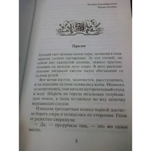 Эрин Хантер: Коты-воители. Звездный свет: Обложка Твердая