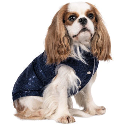Жилет для тварин Pet Fashion Lucky L Синій (4823082428793): Тип Жилеты