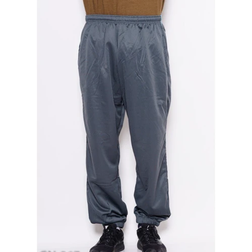 Спортивные брюки ISSA PLUS GN-267 48 серые