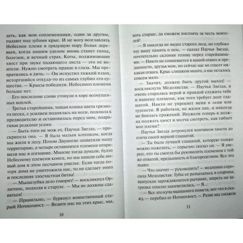Эрин Хантер: Коты-Воители. Судьба Небесного племени. Сомнение: Количество страниц 320