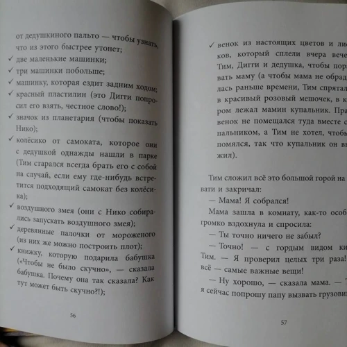 Ірина Лейк: Тім та Діггі на канікулах: Обкладинка Твердая