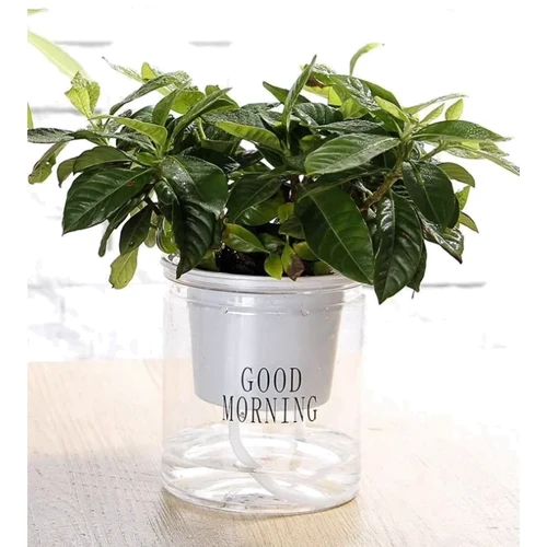 Ваза и кашпо Кашпо Olens Good morning 10х11.5 см (DL21022594) фото 1