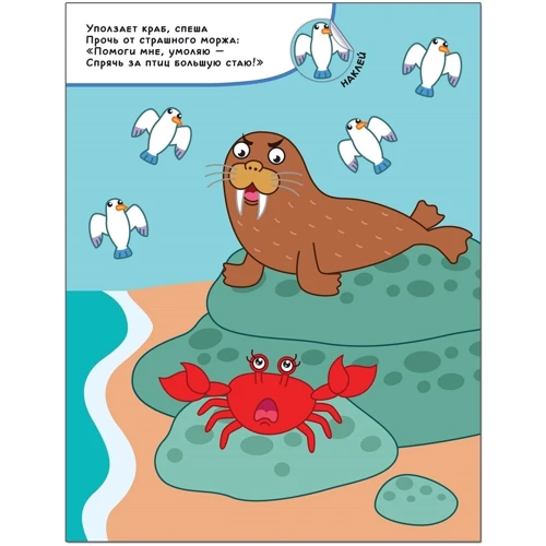 Сховай мене! На море. Книжка з наклейками: Обкладинка М'яка