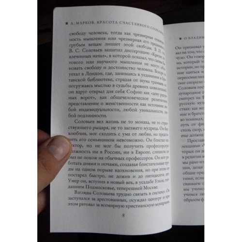 Владимир Соловьев: Красота как преображающая сила: Количество страниц 496