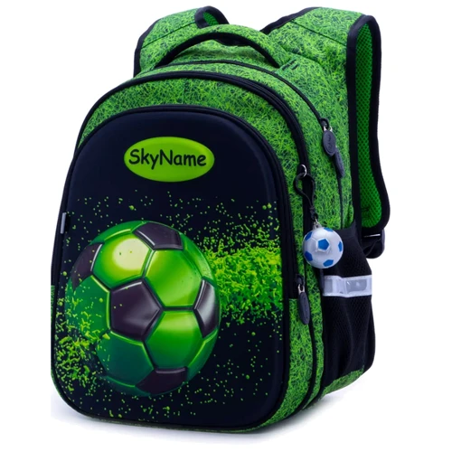 Рюкзак школьный для мальчиков SkyName R1-019