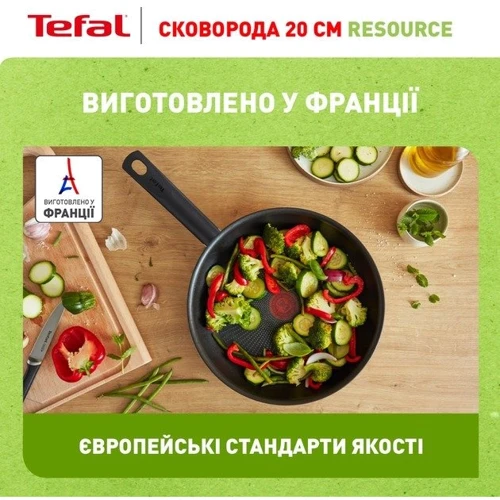 Сковорода Tefal Resource 20 см (C2950253): Матеріал ручки Бакелит