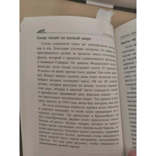Петер Воллебен: О чём шумит лес?: Количество страниц 240