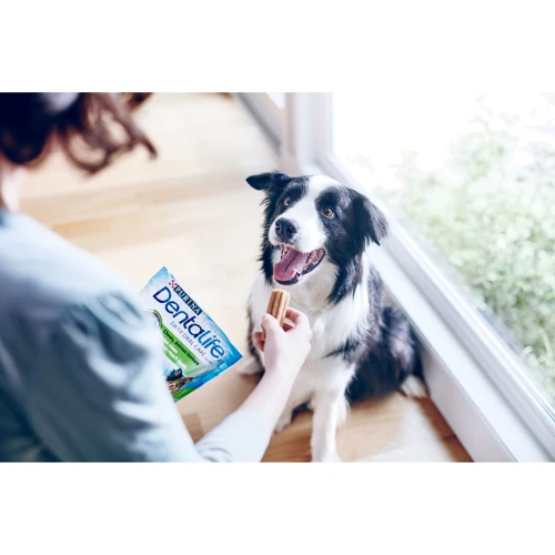Лакомство для собак Purina Dentalife Medium средних пород для здоровья зубов и десен 115 г (12452740) фото 7