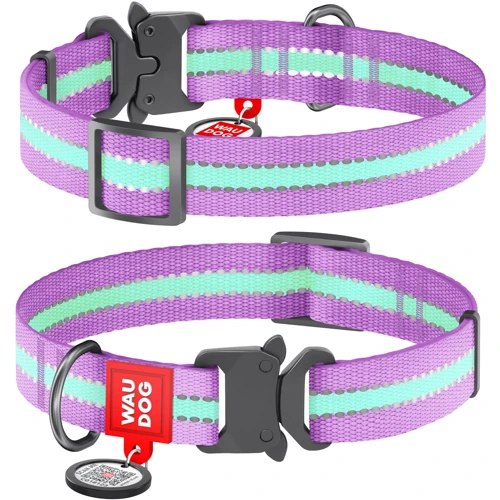 Ошейник WAUDOG Nylon с QR-паспортом, светящийся, металлическая пряжка-фастекс 25 мм 35-58 см фиолетовый (52209)