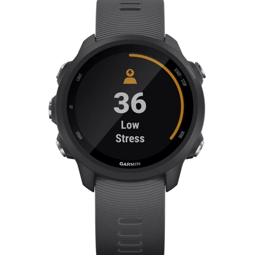 Смарт-часы Garmin Forerunner 245 Slate Gray (010-02120-00): Тип гаджета Взрослые смарт часы
