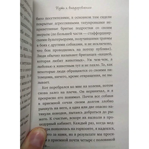 Вуличний кіт на ім'я Боб. Як людина і кіт знайшли надію на вулицях: Обкладинка М'яка