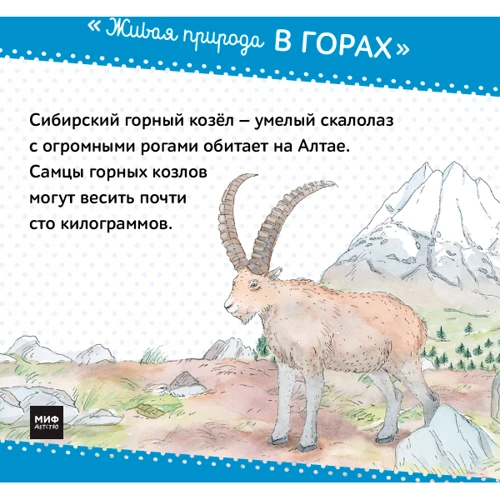 Живая природа. В горах: ISBN 978-5-00100-091-4