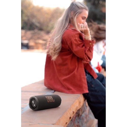 Акустика JBL Flip 7 Black (JBLFLIP7BLK) фото 11