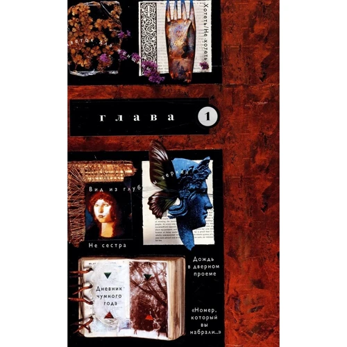 The Sandman. Пісочна людина. Книга 7. Короткі життя: Кількість сторінок 272
