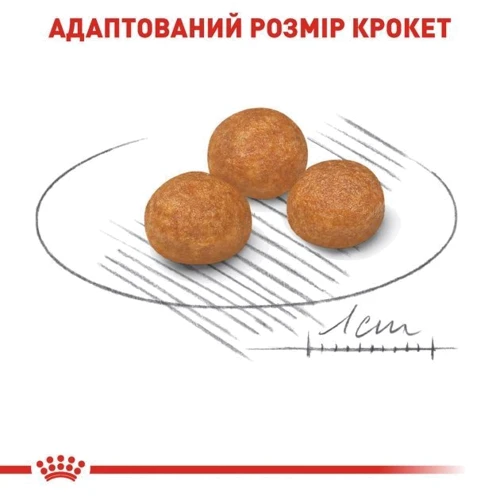Сухий корм для собак Royal Canin XSmall Adult малих порід 3 кг (1003030): Клас Супер премиум