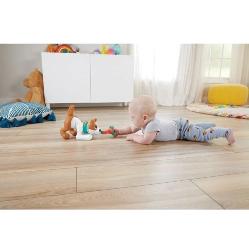 Інтерактивне Веселе цуценя Fisher-Price: Тип музична іграшка