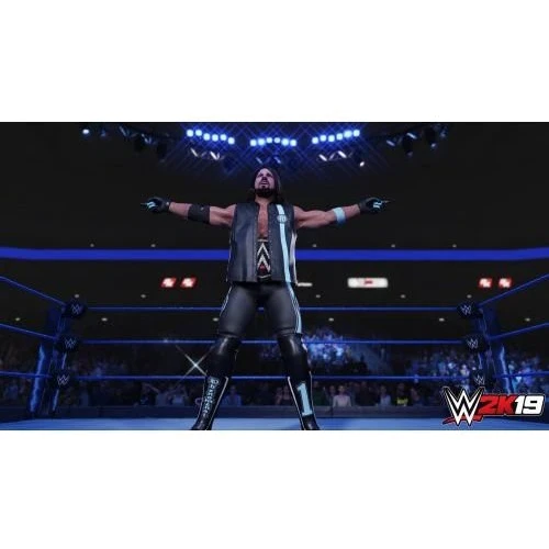 WWE 2K19 (PS4): Жанр Спорт