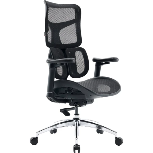 Офисное кресло Sihoo DORO S100 Mesh Black (S100-M301)
