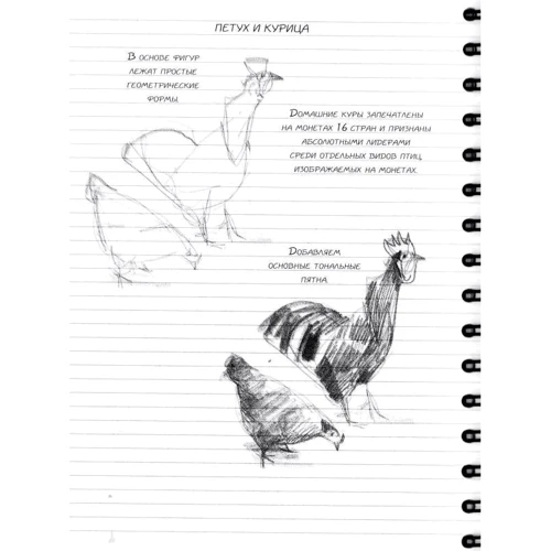 Sketchbook. Малюємо тварин (м'ятний): ISBN 978-966-526-158-2