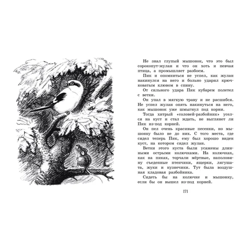 Виталий Бианки: Лесные сказки и рассказы (иллюстр. Е. Рачёва): Производитель Махаон