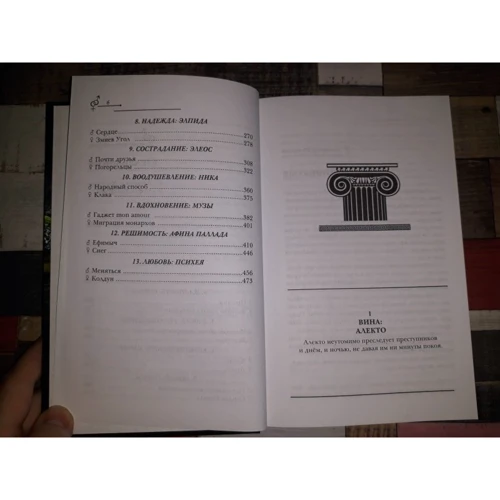 Александр Матюхин, Софья Ролдугина: Зеркальный лабиринт: ISBN 978-5-386-10344-6