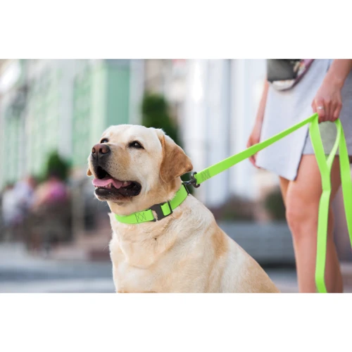 Ошейник WAUDOG Waterproof водостойкий, пряжка крючок 25 мм 35-70 см салатовый (27195): Материал Резина