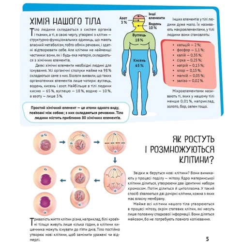 Марія Жученко: Дитяча ілюстрована енциклопедія. Тіло людини: Кількість сторінок 64