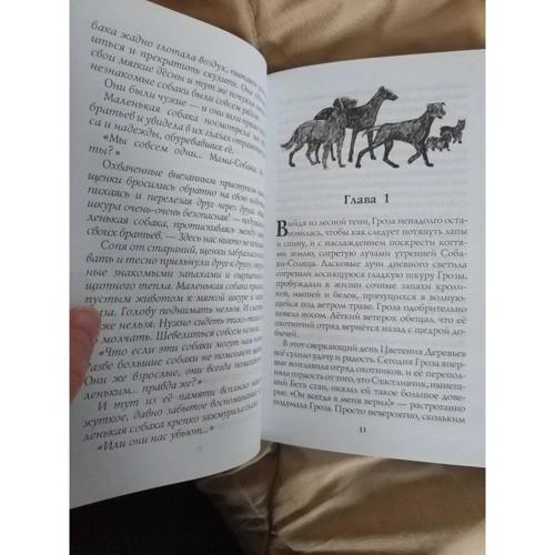 Эрин Хантер: Хроники Стаи. Скрытая угроза: Обложка Твердая