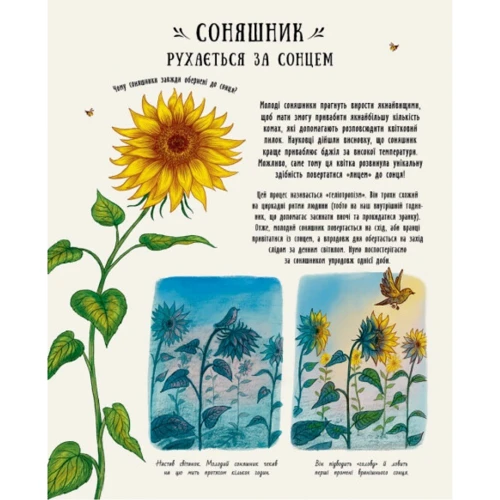 Рейчел Вільямс: Маленькі дива природи: ISBN 978-617-09-8560-6