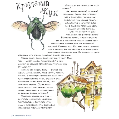 Дэнни Грегори: Творческие права. Как открыть в себе художника и научиться видеть: Обложка Твердая