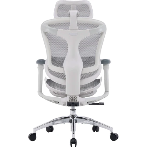 Офисное кресло Sihoo DORO C300L Mesh White (DORO-C300L-A3-102)