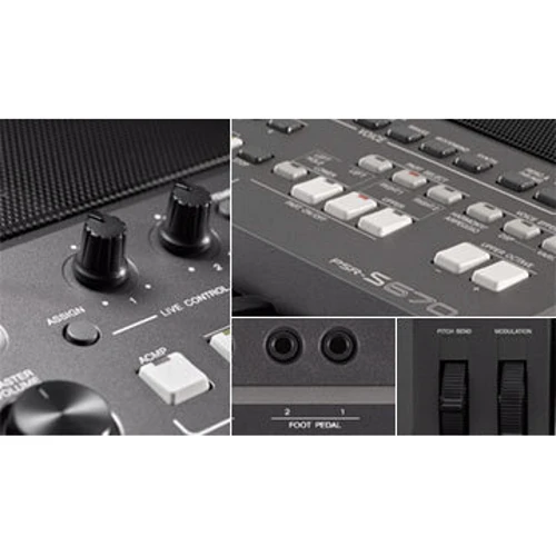 Синтезатор YAMAHA PSR-S670 (+ блок живлення): Тип Аранжувальної