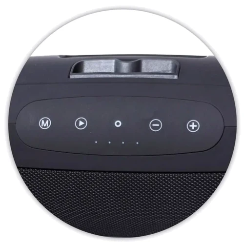 Акустика Zealot S39 Black: Тип портативна