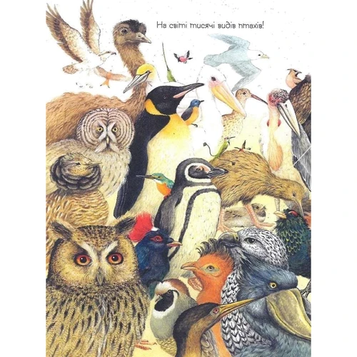 Хто вилупився з яйця? Дивовижний світ тварин: ISBN 978-966-985-058-4