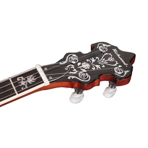 Банджо блюграс Richwood RMB-905-A
