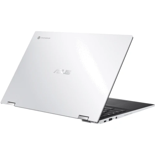Ноутбук ASUS Chromebook Flip CX5 CX5500FEA (CX5500FEA-E60131) RB: Тип экрана глянец