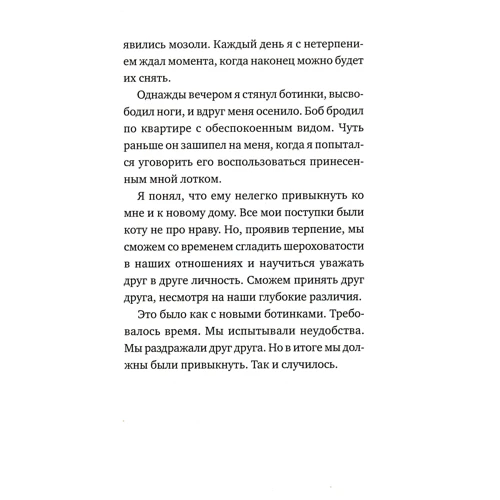 Джеймс Боуен: Таємниця вуличного кота: Обкладинка М'яка