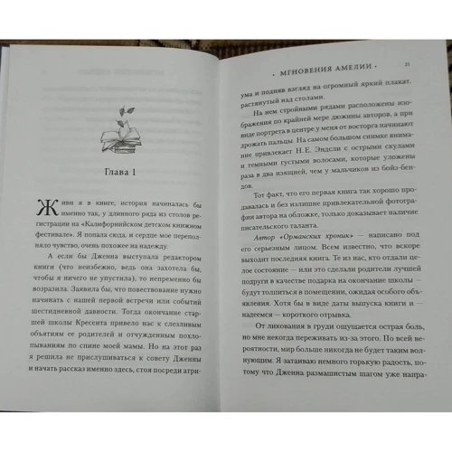 Эшли Шумахер: Мгновения Амелии: Количество страниц 416