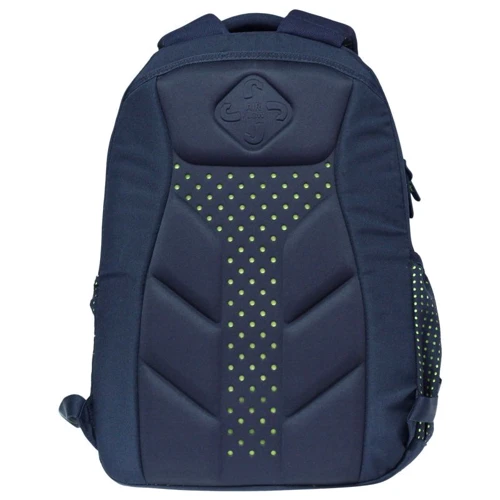 Рюкзак SAFARI 19-101L-1 3 отд., 46x34x22см: Пол ребенка Для мальчиков