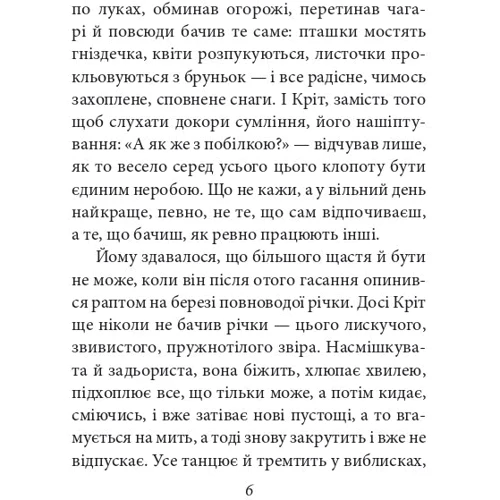 Кеннет Грем: Вітер у верболозі: Количество страниц 384
