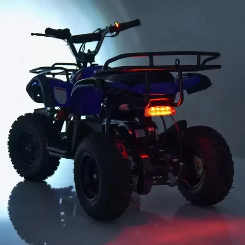 Детский электромобиль Квадроцикл Bambi HB-EATV800N-4 V3 до 65 кг: Вид квадроцикл