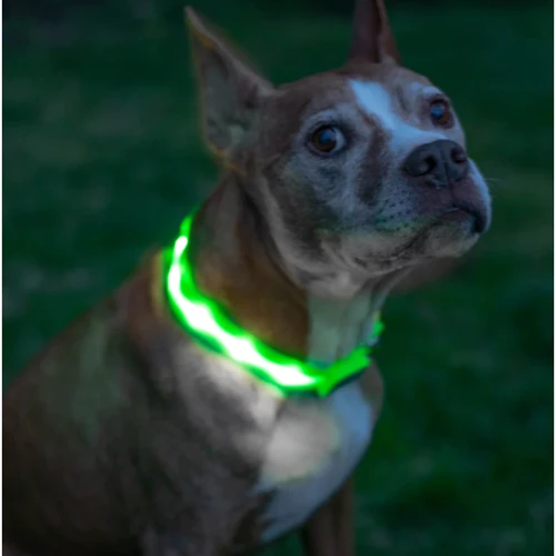 Нашийник з підсвічуванням UFT PET LED 2 Green для собак з акумулятором L (UFTPL2Lgreen): Колір зеленый