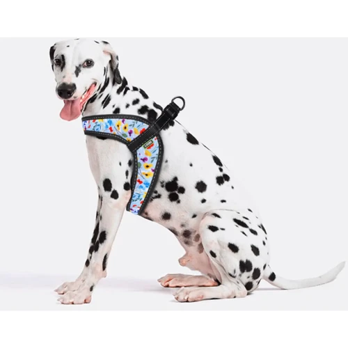 Шлея HiDog Comfort Flowers blue 42-48 см M разноцветная (138\1018) фото 5