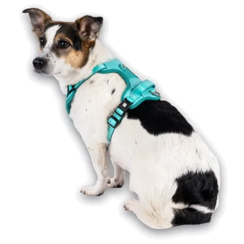 Шлея Max & Molly Smart ID Sport Harness Matrix 2.0 Turquoise/XL 75-105 см бирюзовая (4255636810981) фото 5