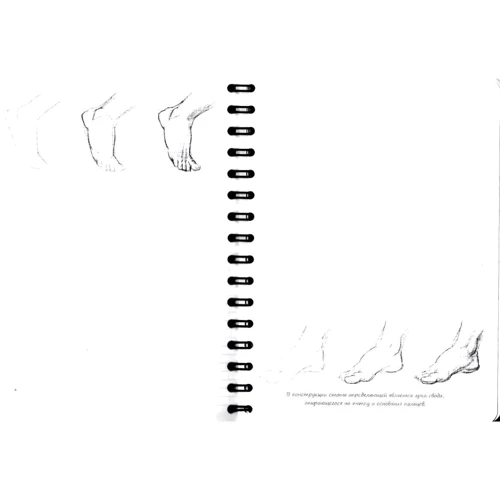 SketchBook. Малюємо людини. Експрес-курс малювання: ISBN 978-966-526-153-7