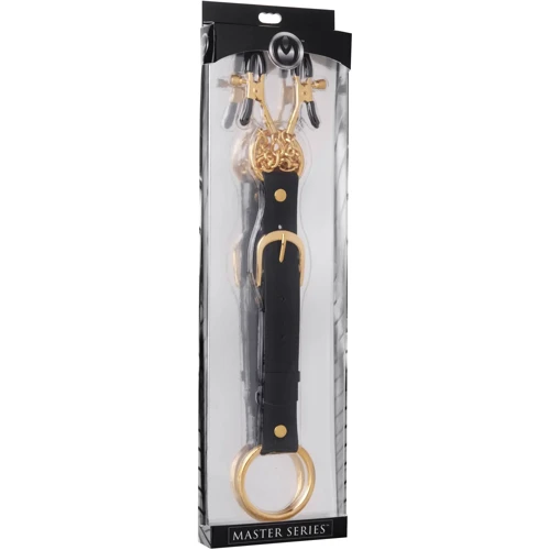 Зажимы-фиксаторы Master Series Penitentiary Nipple Clamps Cock Ring