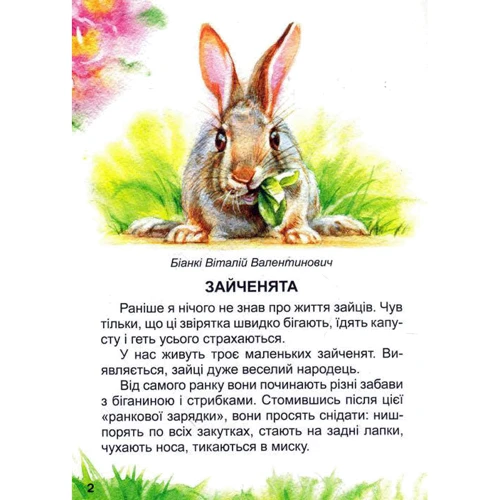 Оповідання про тварин: Кількість сторінок 60